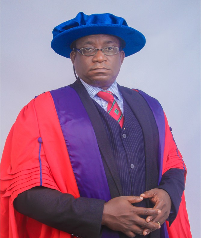 Dr. Nnaemeka Godwin Umedum MB.BS,(NAU) FWACS (ORL/HNS)